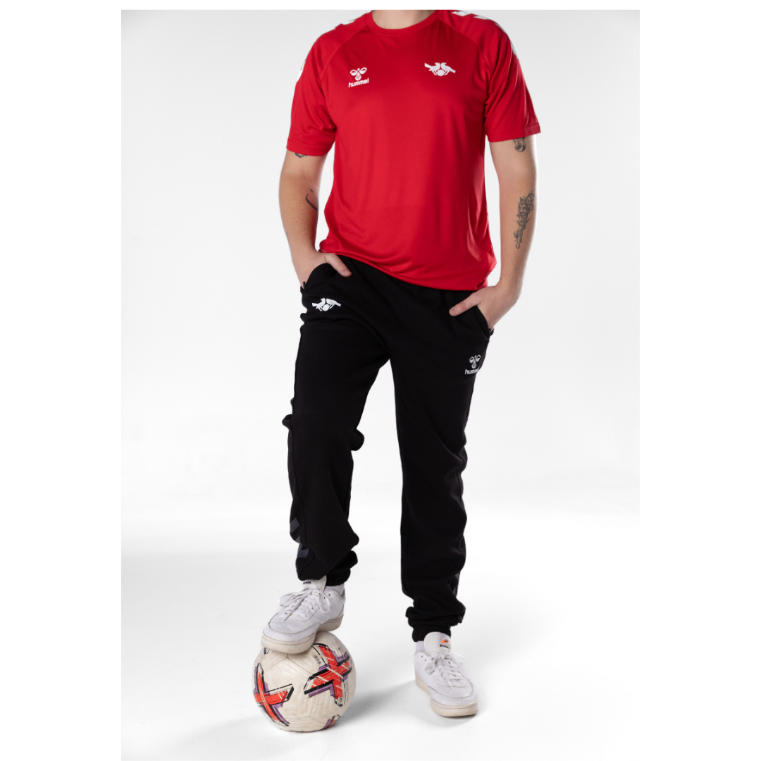 Mens's/Women's/Youth Red Hummel Core Poly T-Shirt